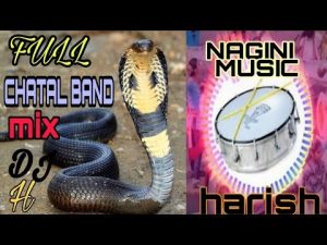 NAGINI MUSIC FULL CHATAL BAND SOG