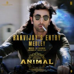 ANIMAL-2023-Ranvijay-s-Entry-Medley-Song Download